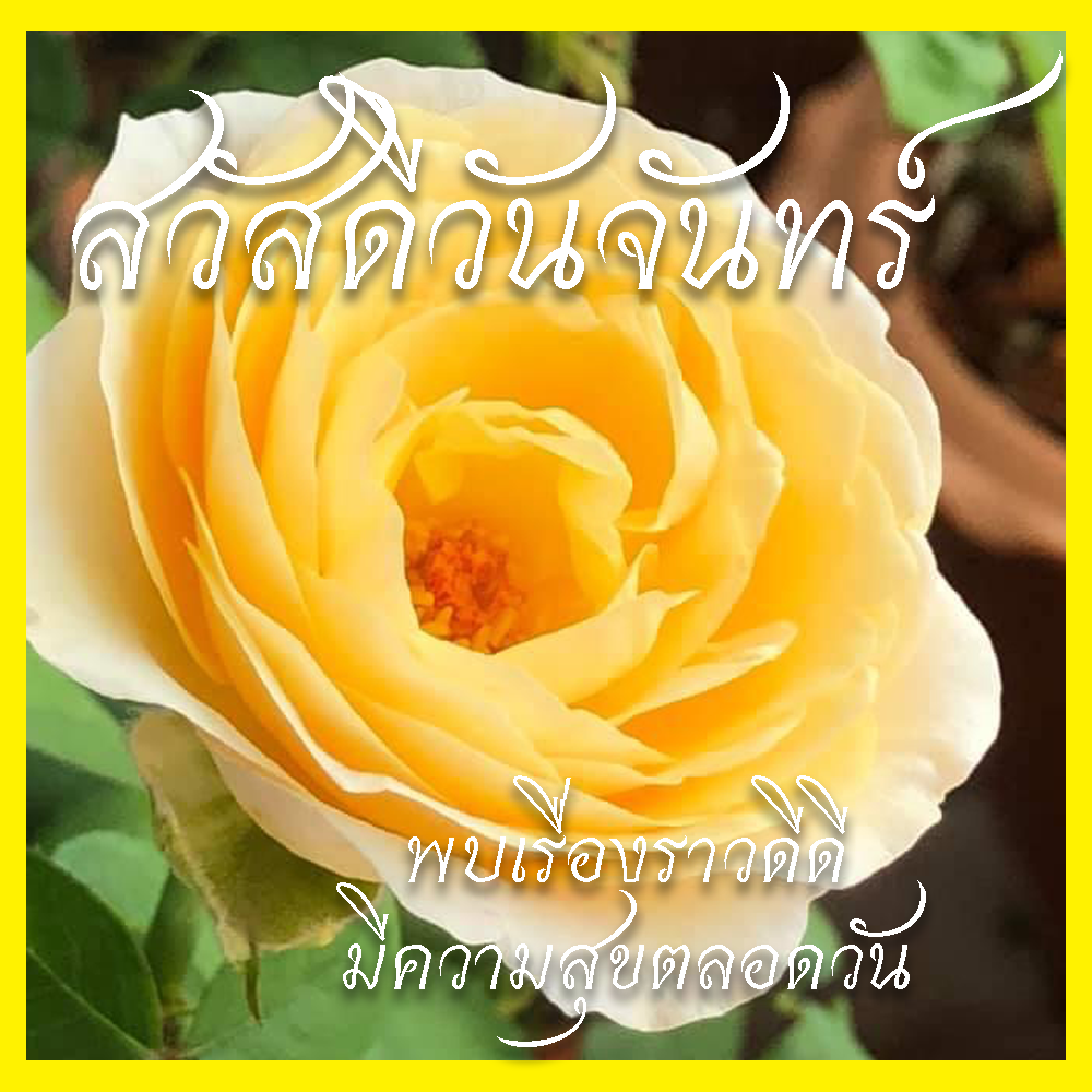 สวัสดีวันจันทร์
