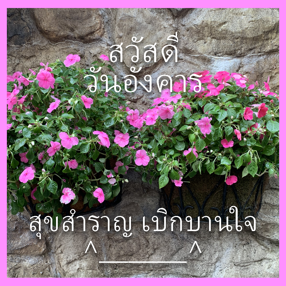 สวัสดีวันอังคาร