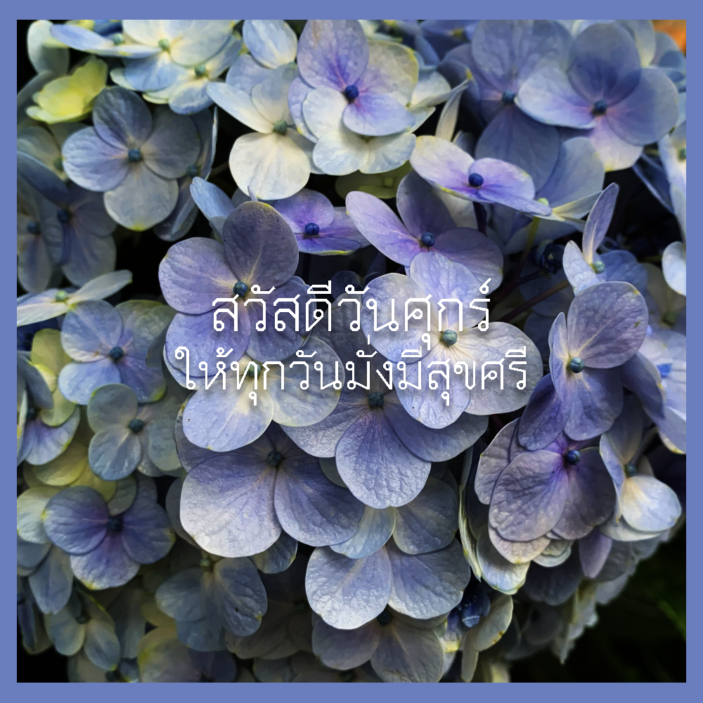 สวัสดีวันศุกร์