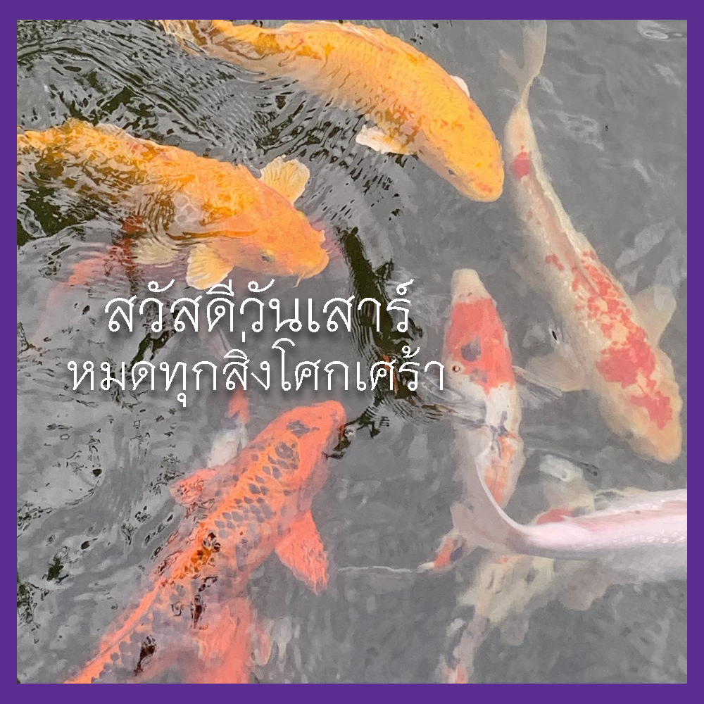 สวัสดีวันเสาร์